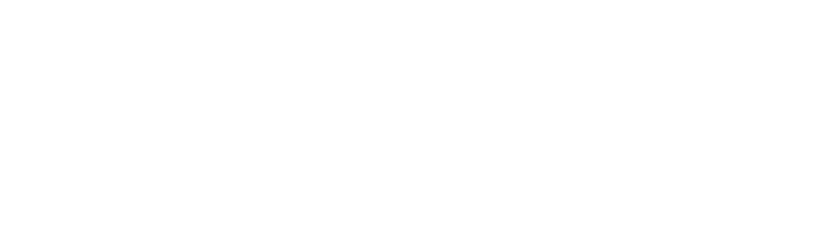 Sapiens Propriedade Intelectual
